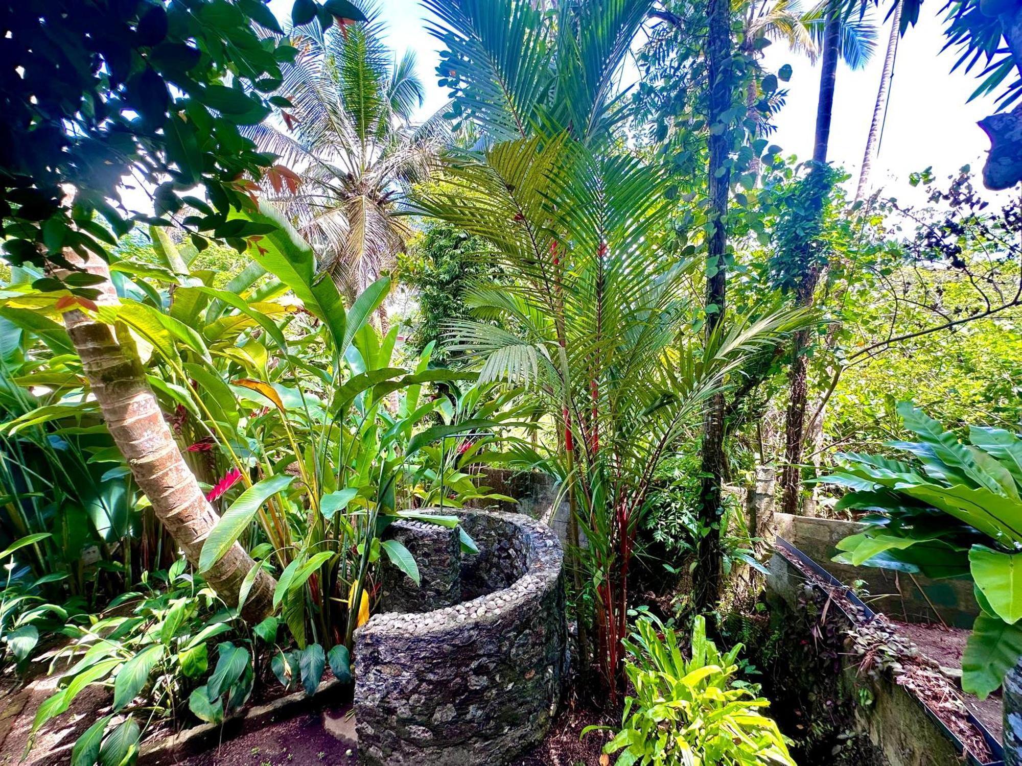Jungle Fence Bed & Breakfast Bentota Exterior photo