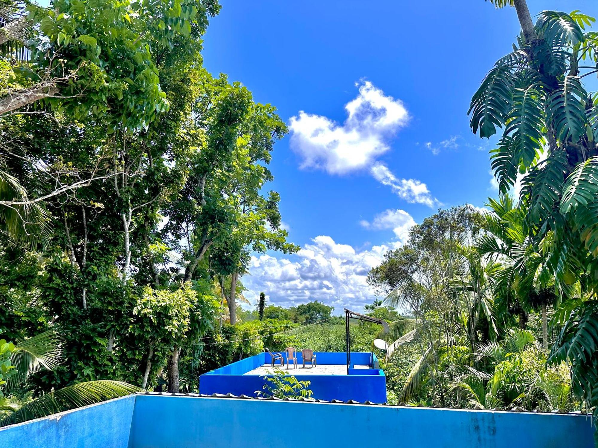Jungle Fence Bed & Breakfast Bentota Exterior photo